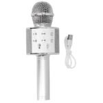HANDHELD KTV WIRELESS MICROPHONE HIFI SPEAKER WS-858